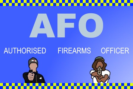 AFO (Autorizados de Armas de fogo Oficial)