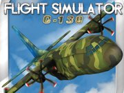 Flight Simulator C130 Training